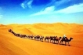 timg