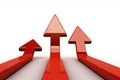 timg (3)_副本