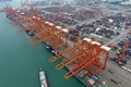 timg_副本