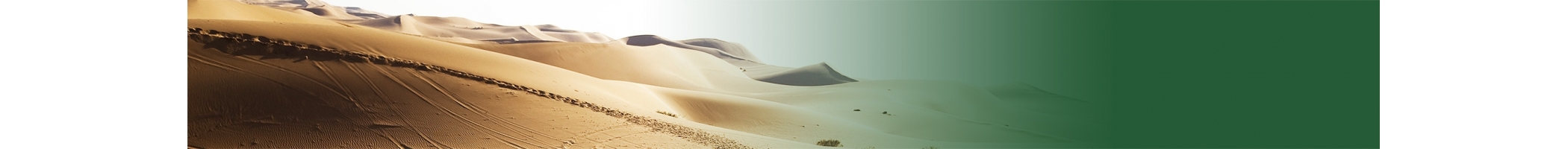 3-News