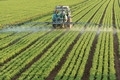 SWC5-fznefkf9172821