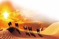 timg (1)