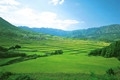 20130826084453_29410_副本