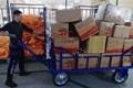 6_副本