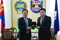 mayor_副本